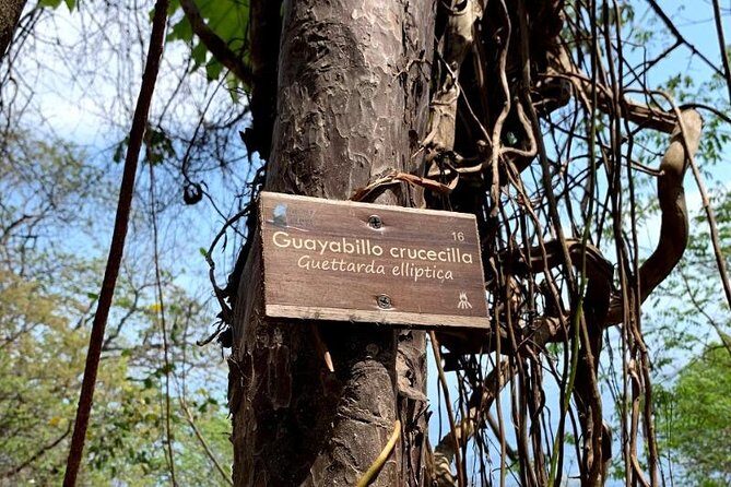 Hiking & Snorkeling to Mexico's Smallest Paradise Colomitos Beach - Final Thoughts