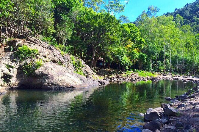 Hiking the Black River Gorges: Full-day with Lunch and Transfer - The Guide and the Experience Spirit