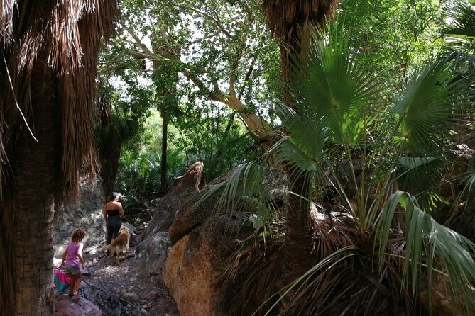 Hiking to Desert Palm Oases of San Carlos with a Biologist - Who Should Consider This Tour?