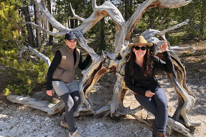 Hiking Tour: Hidden Gems | West Yellowstone | PRIVATE + Lunch - An In-Depth Look at the Experience