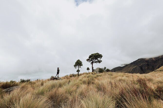 Hiking Tour on the Iztaccíhuatl Volcano from Puebla (private) - Frequently Asked Questions