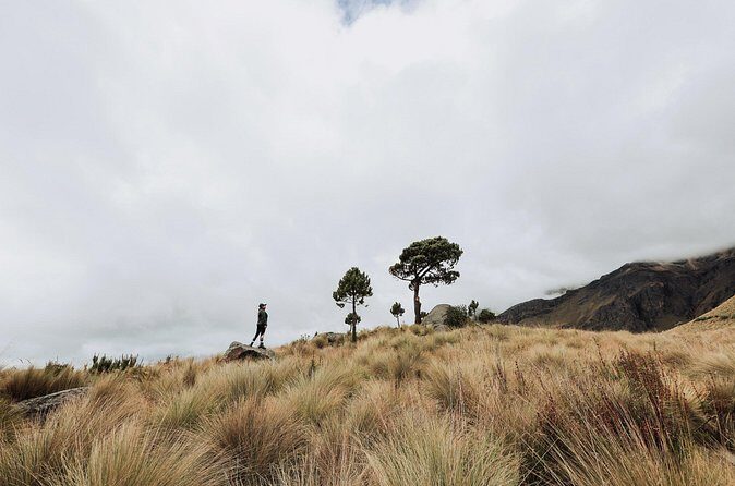 Hiking Tour on the Iztaccíhuatl Volcano from Puebla (private) - Final Thoughts