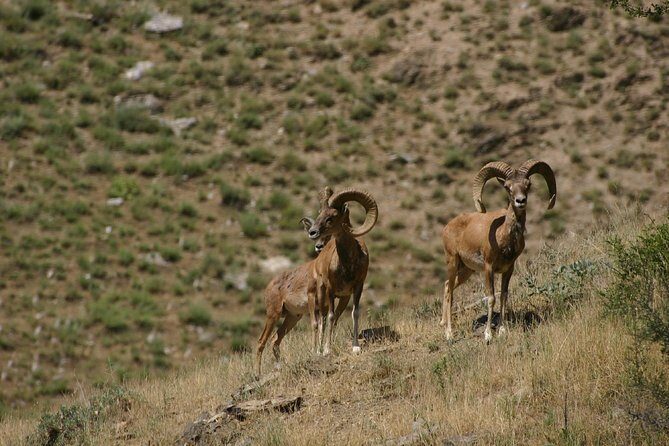 Hiking tour to Hayat, Uhum and Asraf villages 4 days - What Travelers Say