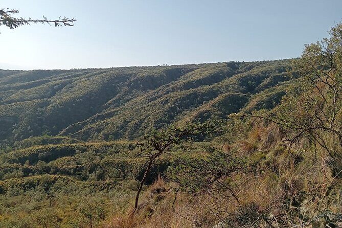Hiking Trip to Mount Longonot National Park & Lake Naivasha - An In-Depth Look at the Experience