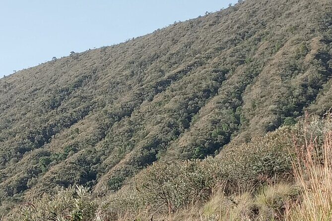 Hiking Trip to Mount Longonot National Park & Lake Naivasha - FAQs