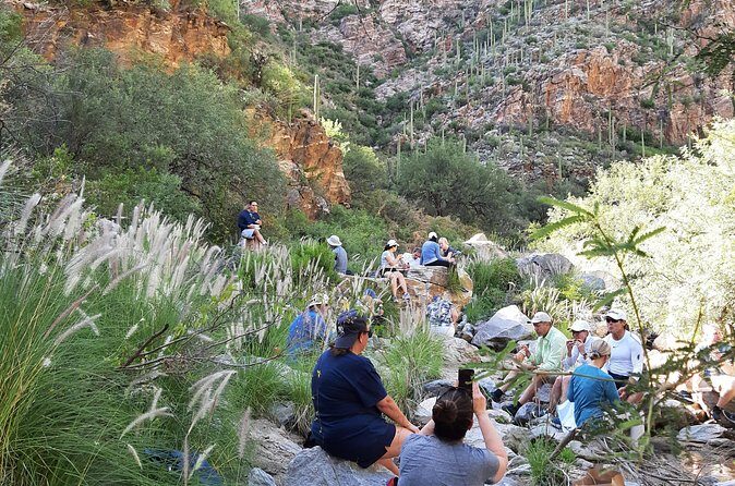 Hiking Ventana Canyon and Sabino Canyon - Who Should Consider This Tour?