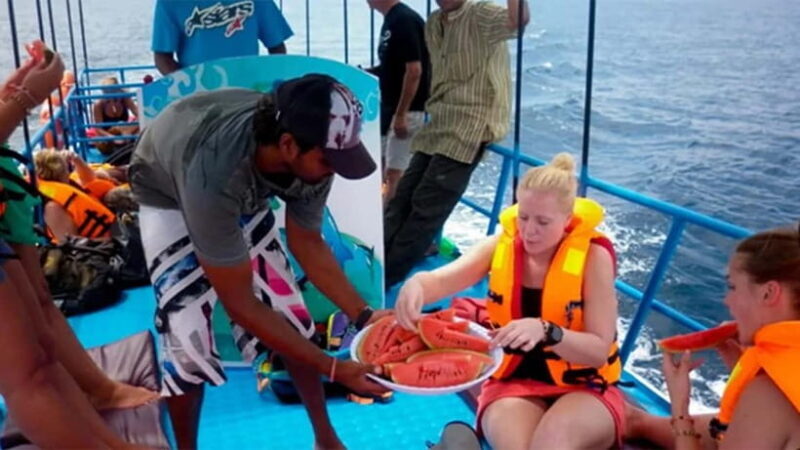 Hikkaduwa/Galle/Ahangama: Whale Watching Tour in Mirissa - Who Will Love This Tour?