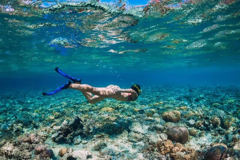 Hikkaduwa Snorkeling Tour: 2 Hours of Underwater Adventure - Why This Tour Works Well