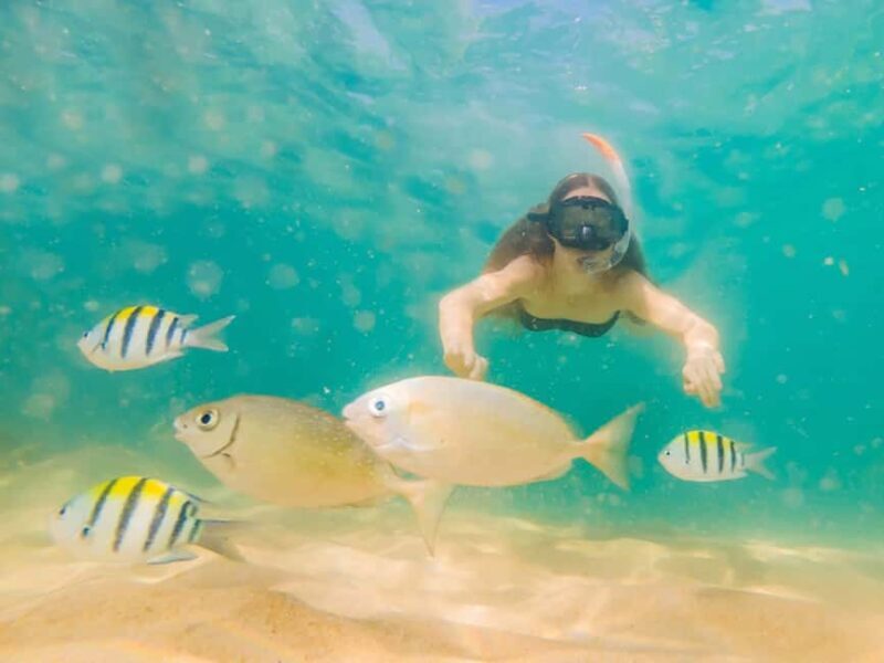 Hikkaduwa Snorkeling Tour: 2 Hours of Underwater Adventure - The Sum Up: Is It Worth It?