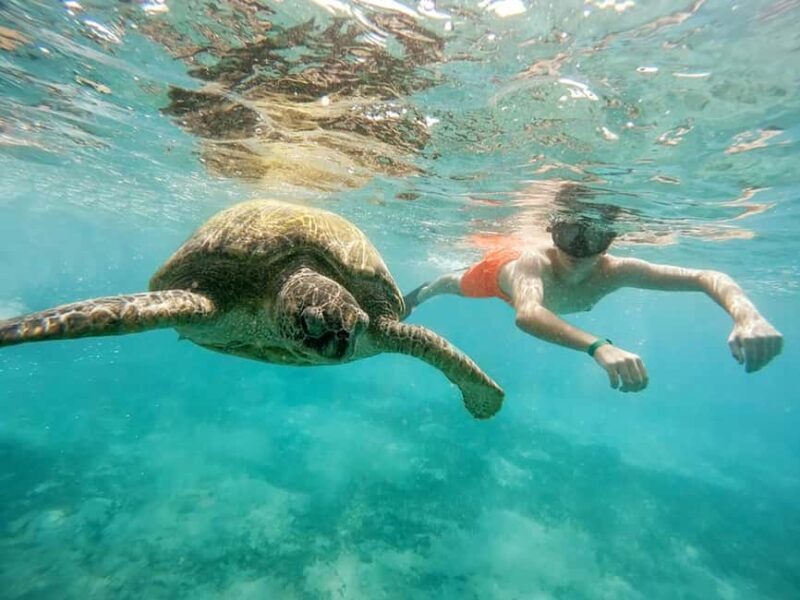 Hikkaduwa Snorkeling Tour: 2 Hours of Underwater Adventure - FAQ