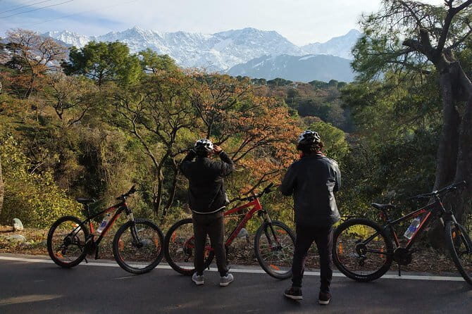 hilloferry - a guided cycling tour - Testimonials and Authentic Perspectives