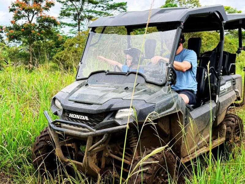 Hilo: Big Island Family Farm & Culture UTV Experience - Key Points