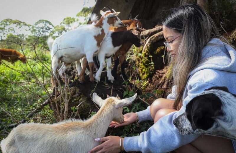 Hilo: Big Island Family Farm & Culture UTV Experience - Exploring the Heart of Hawaiian Farming and Culture