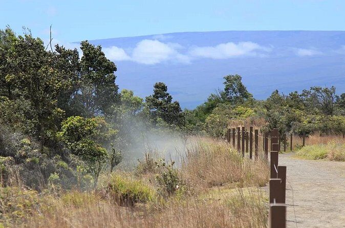 Hilo Cruise Ship Excursion: Volcanoes National Park Rainbow Falls - Authentic Experiences and Testimonials