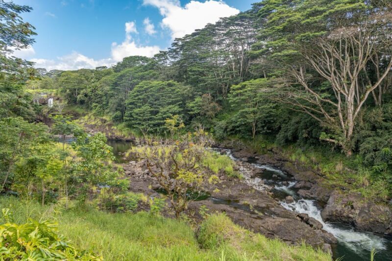 Hilo: Gardens, Waterfalls & Farmers Market Shore Excursion - Starting Point & Logistics