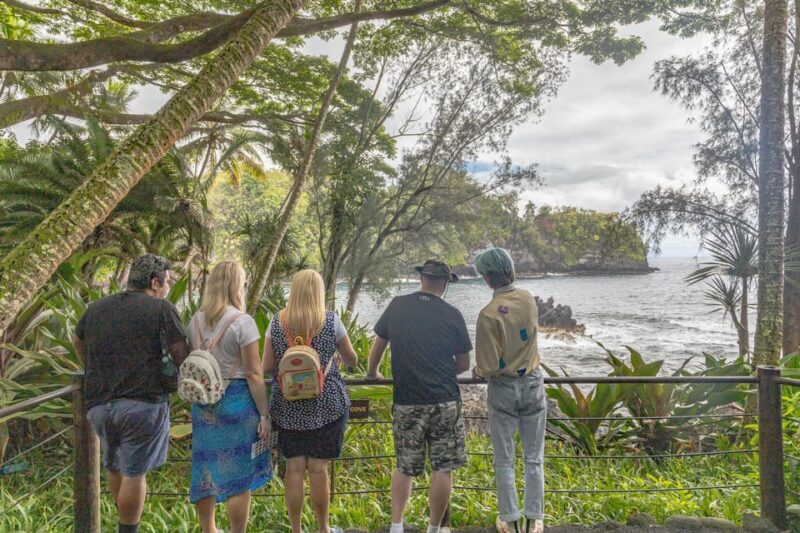 Hilo: Gardens, Waterfalls & Farmers Market Shore Excursion - Overall Experience & Feedback