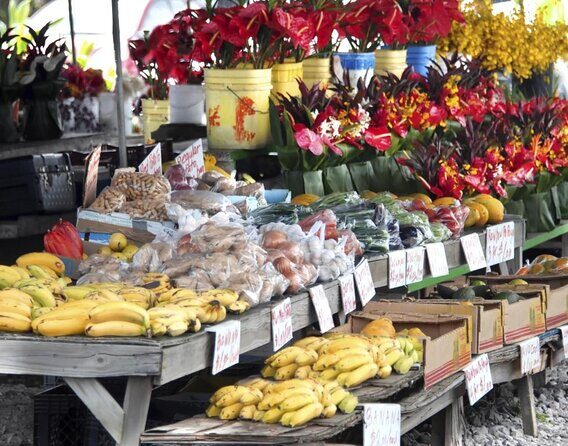 Hilo History and Legends (APP) Audio Self Guided Walking Tour - Key Points