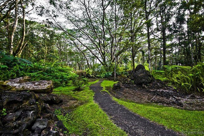 Hilo Shore Excursion: Safari Lava Caves, Falls and Highlights - Pricing and Value