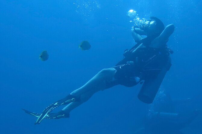 Hilo's Remote Tropical Reef 2 Tank Boat Dive - Who Should Consider This Tour?