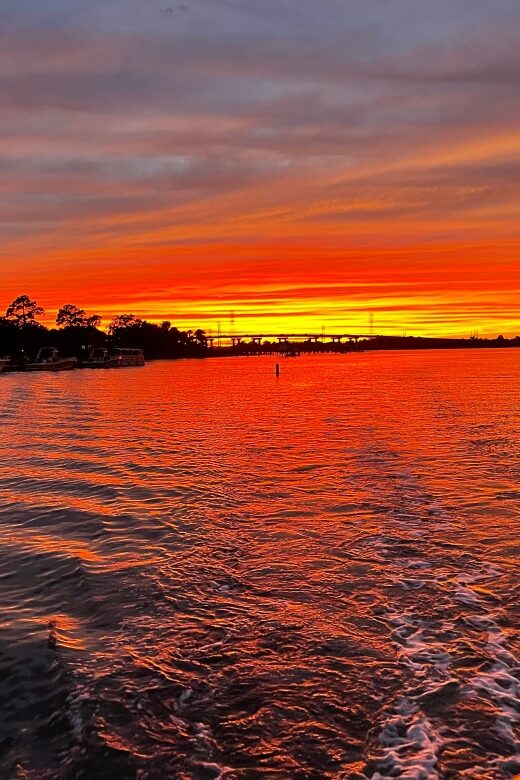 Hilton Head: 2 Hour Large Group Tour (7-20 people) - Introduction