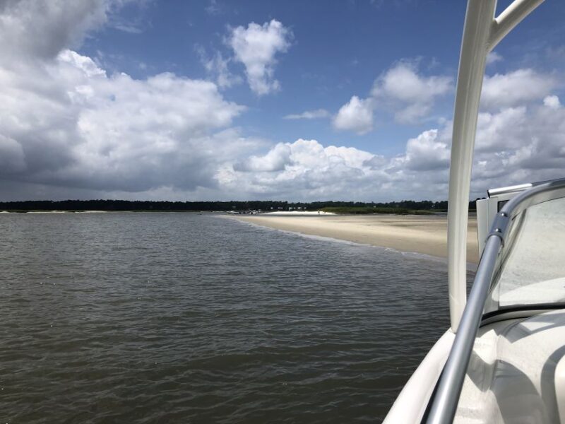 Hilton Head: 2 Hour Private Dolphin Tour - Who Should Consider This Tour?