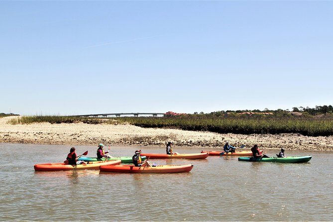 Hilton Head Guided Kayak Eco Tour - Authentic Reviews: What Travelers Say