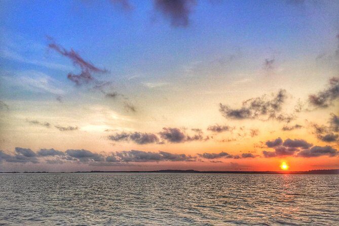 Hilton Head Guided Sunset Creek Cat Tour - An In-Depth Look at the Hilton Head Creek Cat Tour