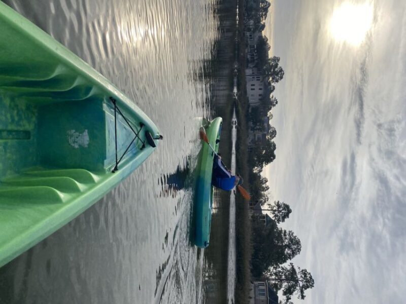 Hilton Head Island: 1.5-Hour Guided Small-Group Kayak Tour - An In-Depth Look at the Hilton Head Kayak Tour