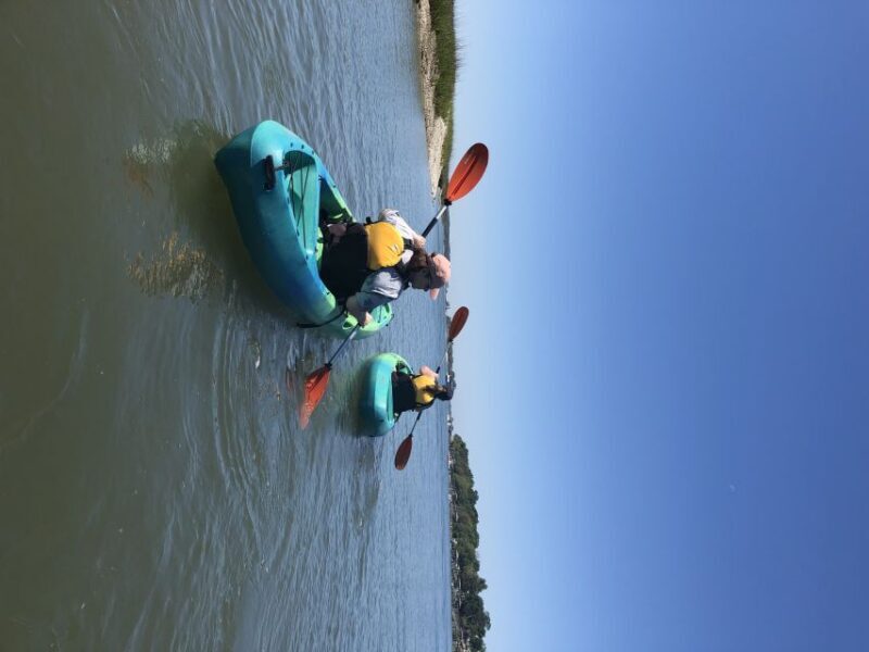 Hilton Head Island: 1.5-Hour Guided Small-Group Kayak Tour - Who Should Consider This Tour?