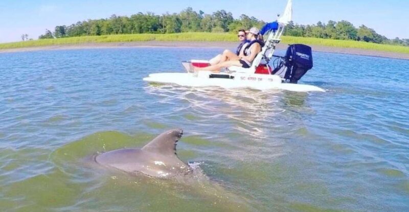Hilton Head Island: 2-Hour Guided Creek Cat Tour - A Practical Guide to the Hilton Head Creek Cat Tour
