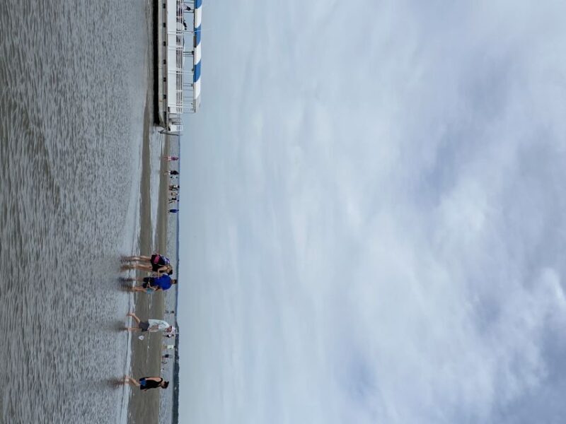 Hilton Head Island: Disappearing Island and Dolphin Tour - Authentic Encounters and Authentic Scenery