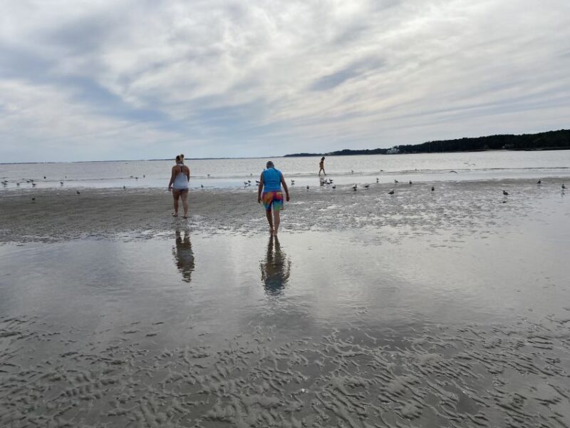 Hilton Head Island: Disappearing Island and Dolphin Tour - Weather and Practical Tips