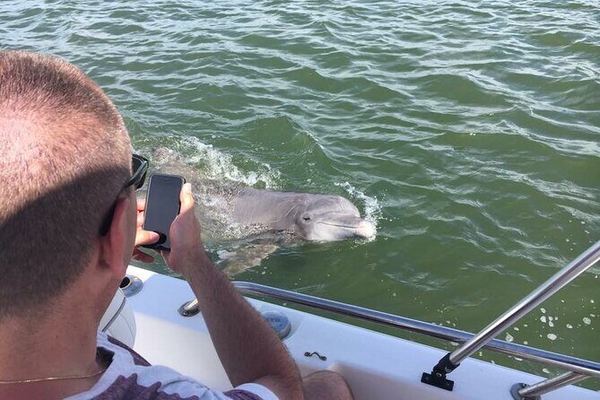 Hilton Head Island Dolphin Boat Cruise - Who Should Book This Tour?