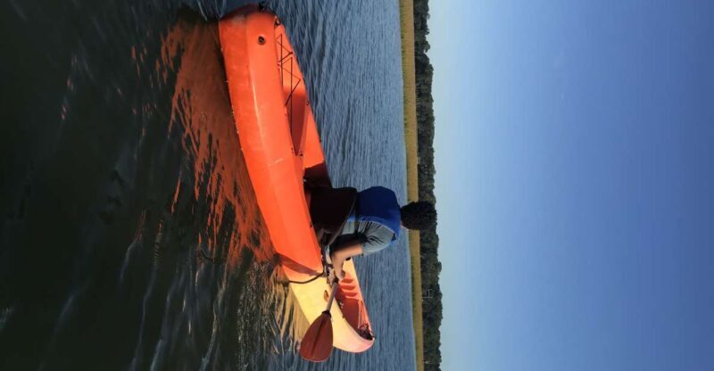 Hilton Head Island: Guided Kayak Tour with Coffee - Key Points