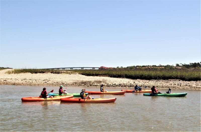 Hilton Head Island: Guided Kayak Tour with Coffee - Final Thoughts