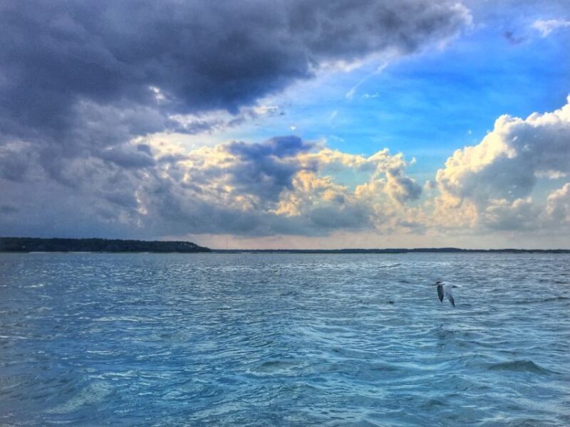 Hilton Head Island: Jet Ski Tour - Who Will Love This Tour?