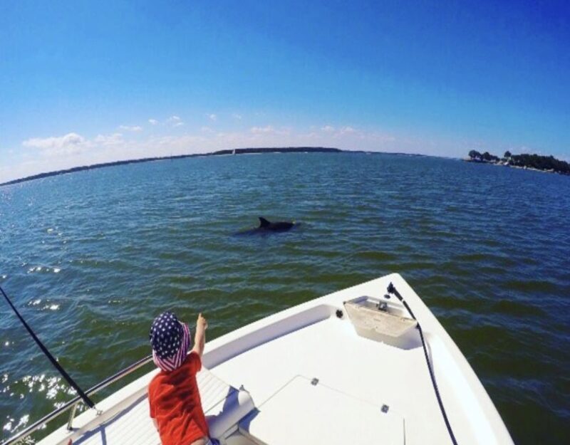 Hilton Head Island: Private Dolphin Watching Boat Tour - Who Should Consider This Experience?