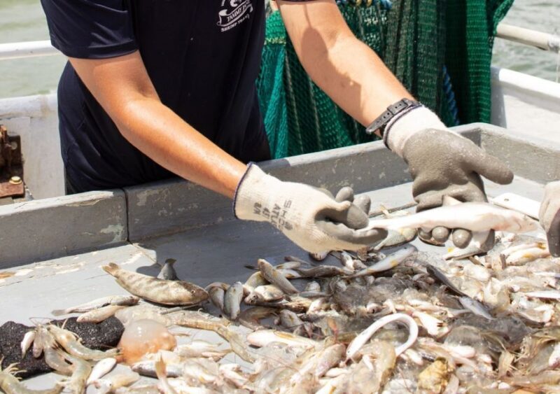 Hilton Head Island: Shrimp Trawling Boat Tour - An In-Depth Look at the Shrimp Trawling Boat Tour