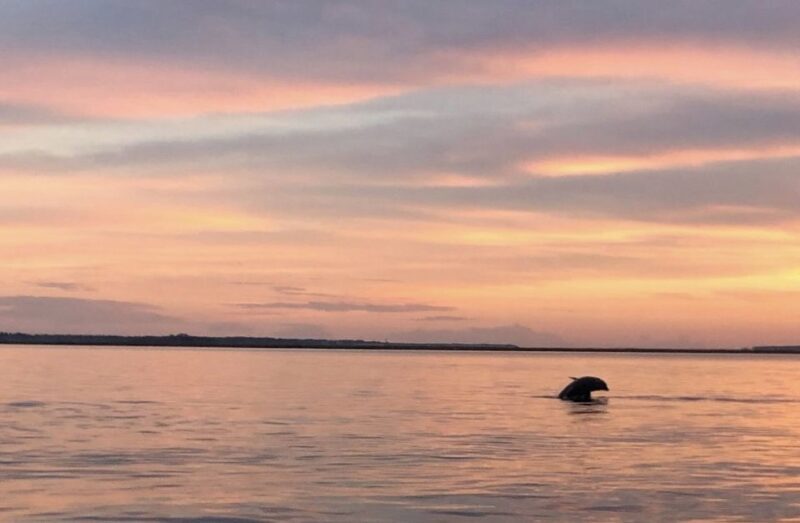 Hilton Head Island: Sunset Creek Cat Boat Tour - Who Should Consider This Tour?