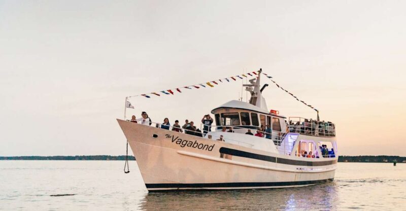 Hilton Head Island: Sunset Dolphin Cruise - The Sum Up