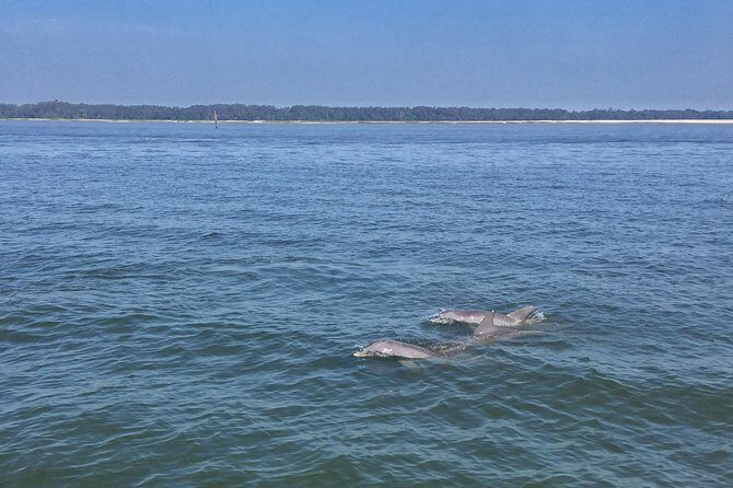 Hilton Head Morning Dolphins & Donuts Cruise - Visualizing the Boat Ride