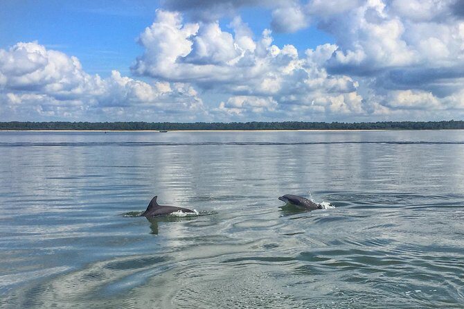 Hilton Head Morning Dolphins & Donuts Cruise - FAQ