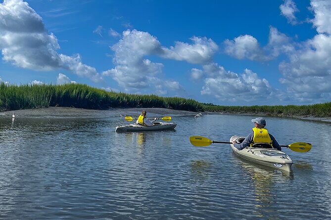 Hilton Head Outback Boat and Kayak Adventure - The Sum Up: A Genuine Nature Escape for Curious Travelers