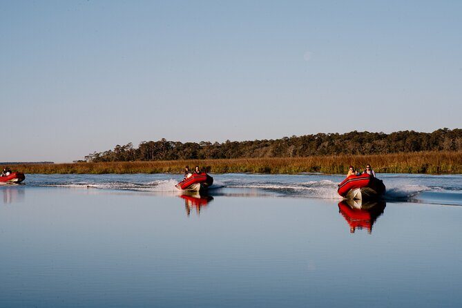 Hilton Head Sunset Dolphin and Sightseeing Tour via Mini Boat - Key Points