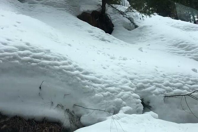Himachal Tour Package - Final Thoughts