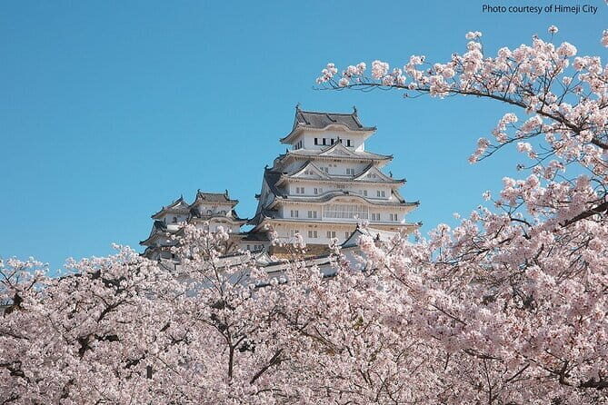 Himeji Castle and Akashi Kaikyo Bridge Walking Tour from Kyoto - Final Thoughts: Is This Tour Right for You?