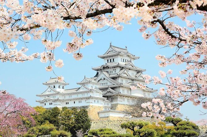 Himeji Half-Day Private Tour with Government-Licensed Guide - The Sum Up: Is This Tour Right for You?