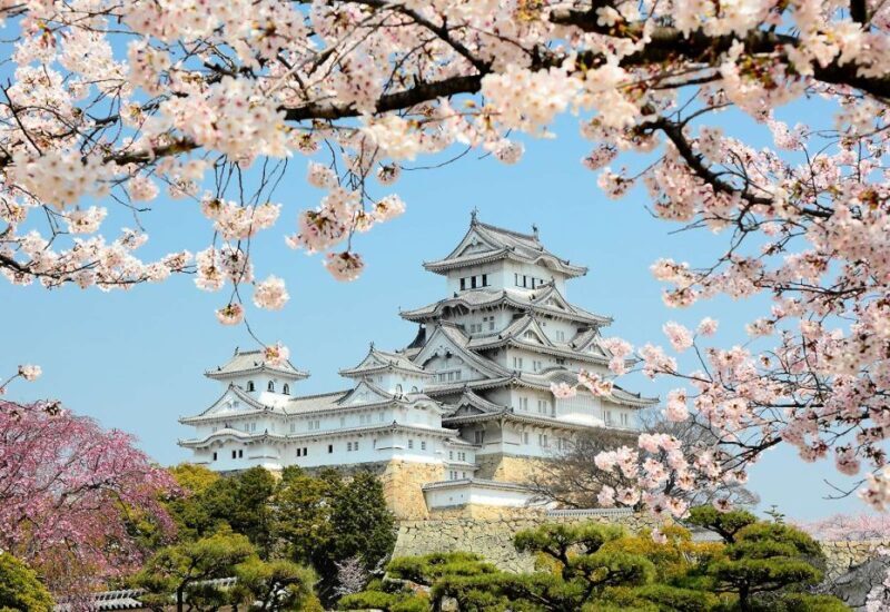 Himeji: Private Customized Tour with Licensed Guide - Why Choose a Private Guided Tour?