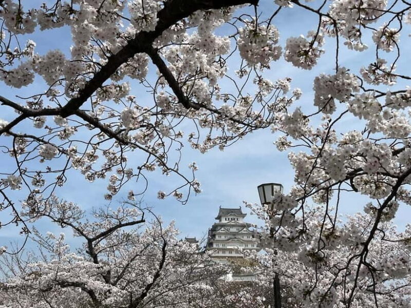 Himeji: visit the castle and Engyoji temple from Osaka - Final Thoughts on Value