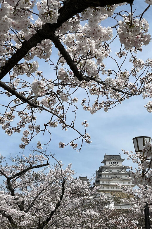Himeji: visit the castle and Engyoji temple from Osaka - FAQ